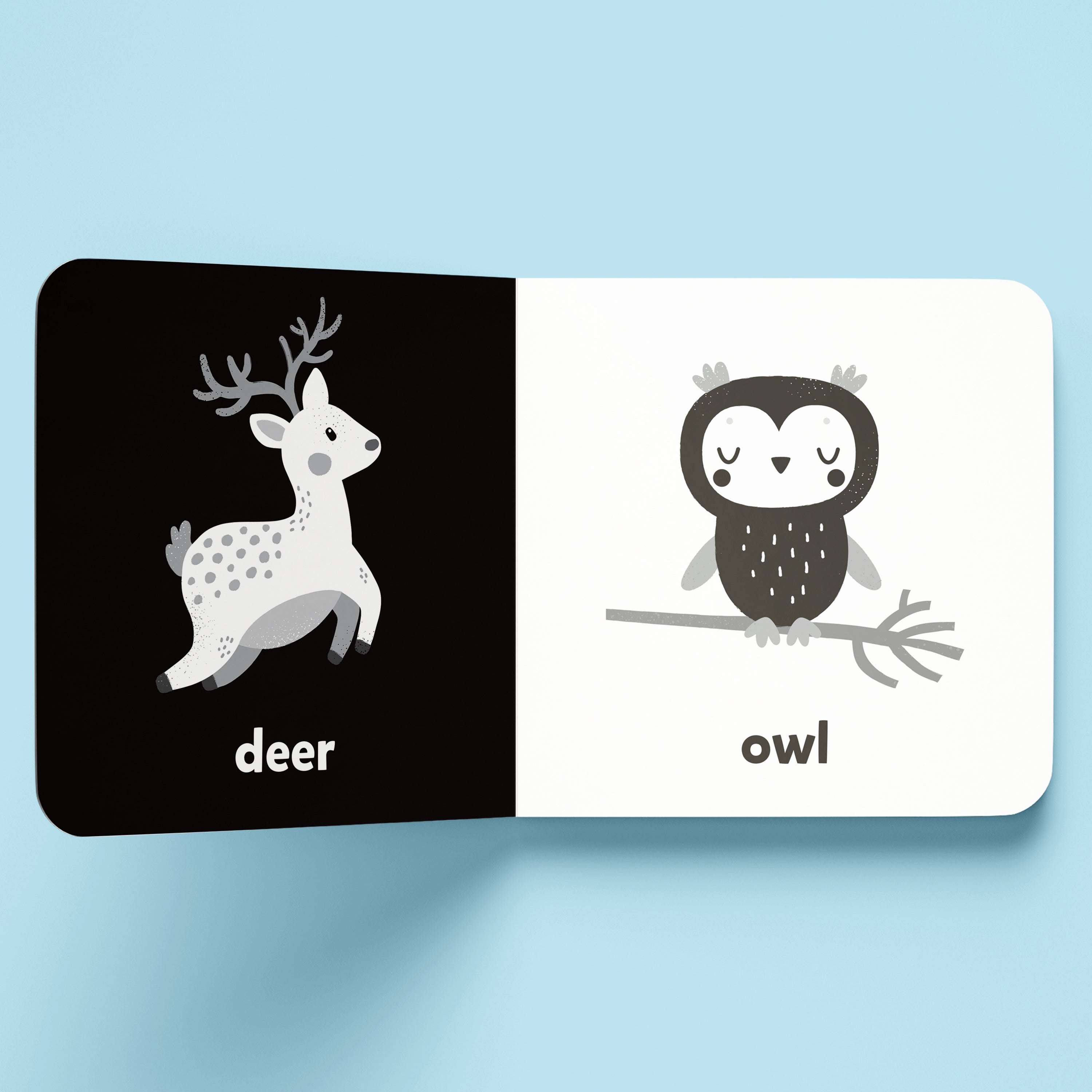 Nature - A high Contrast Board Book