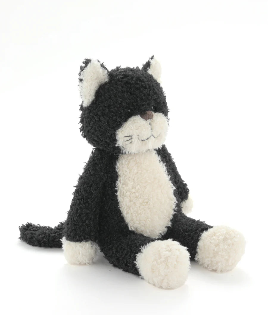 Checkers The Cat - Black