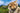 burri-murmeltier-084133-5